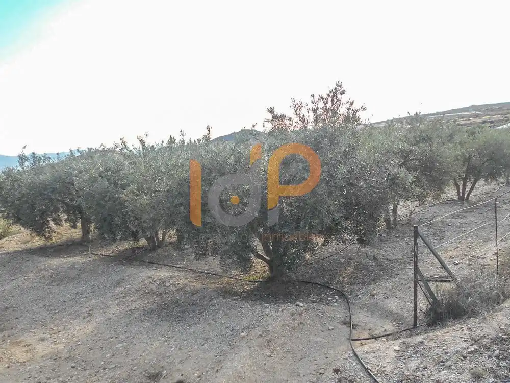 Rural land for sale in Puerto Lumbreras, imagen 4