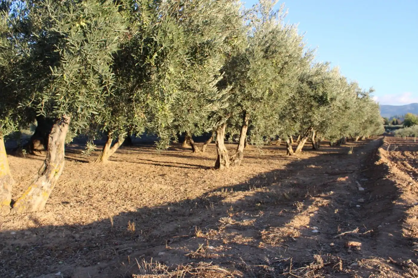 Country homes for sale in Villa de Otura, Granada