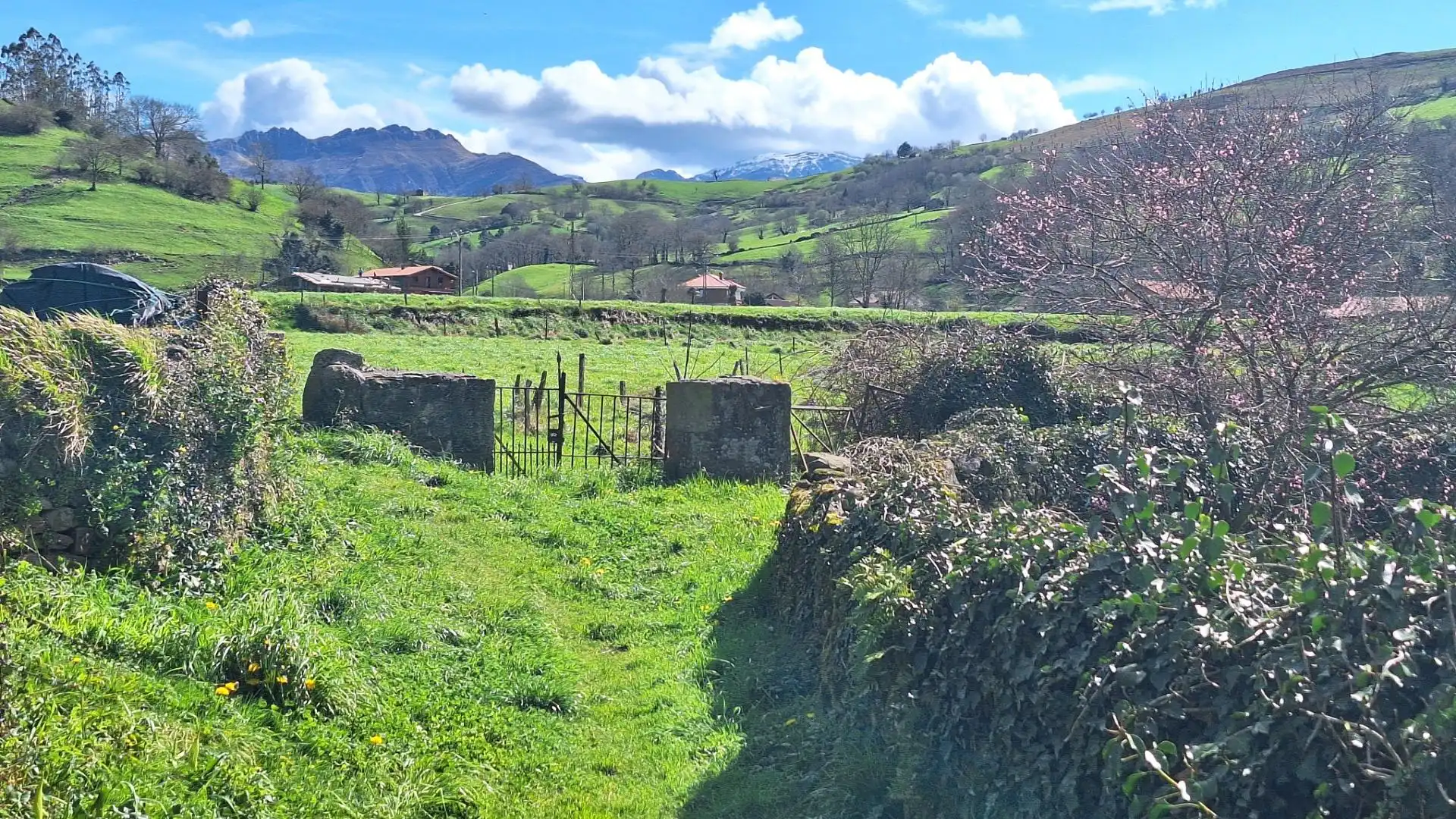Terreno rustico in vendita a Selaya, imagen 5
