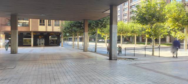 Local comercial en Venta en Paseo Regino Sainz de la Maza en Villa Pilar