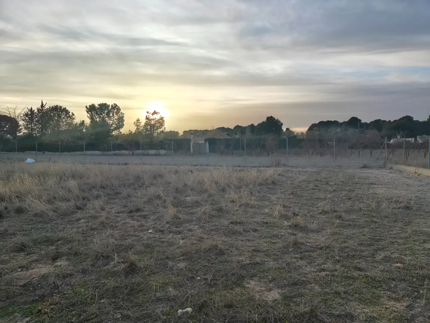 Terreno residenziale in vendita a Pedanías - Extrarradio, imagen 3