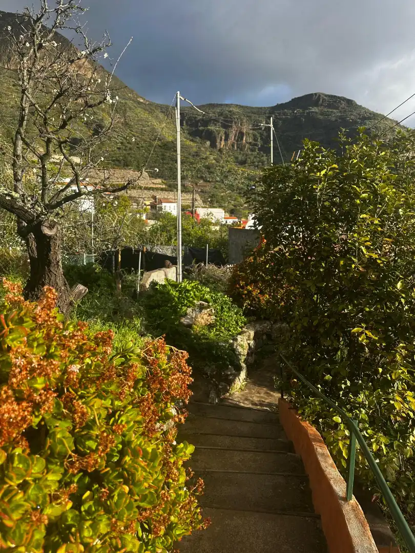 Jardí de Casa o xalet en venda en Valsequillo de Gran Canaria amb Jardí privat, Terrassa i Traster