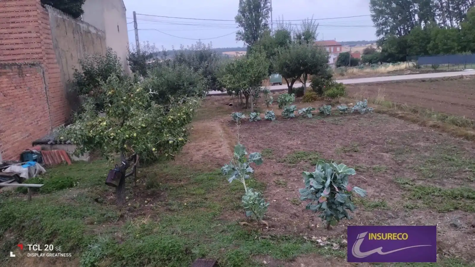 Rural land for sale in Sol-S Feliz Orb, imagen 4