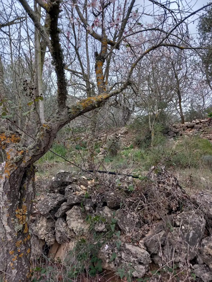 Residential land for sale in Torrelles de Foix, imagen 10