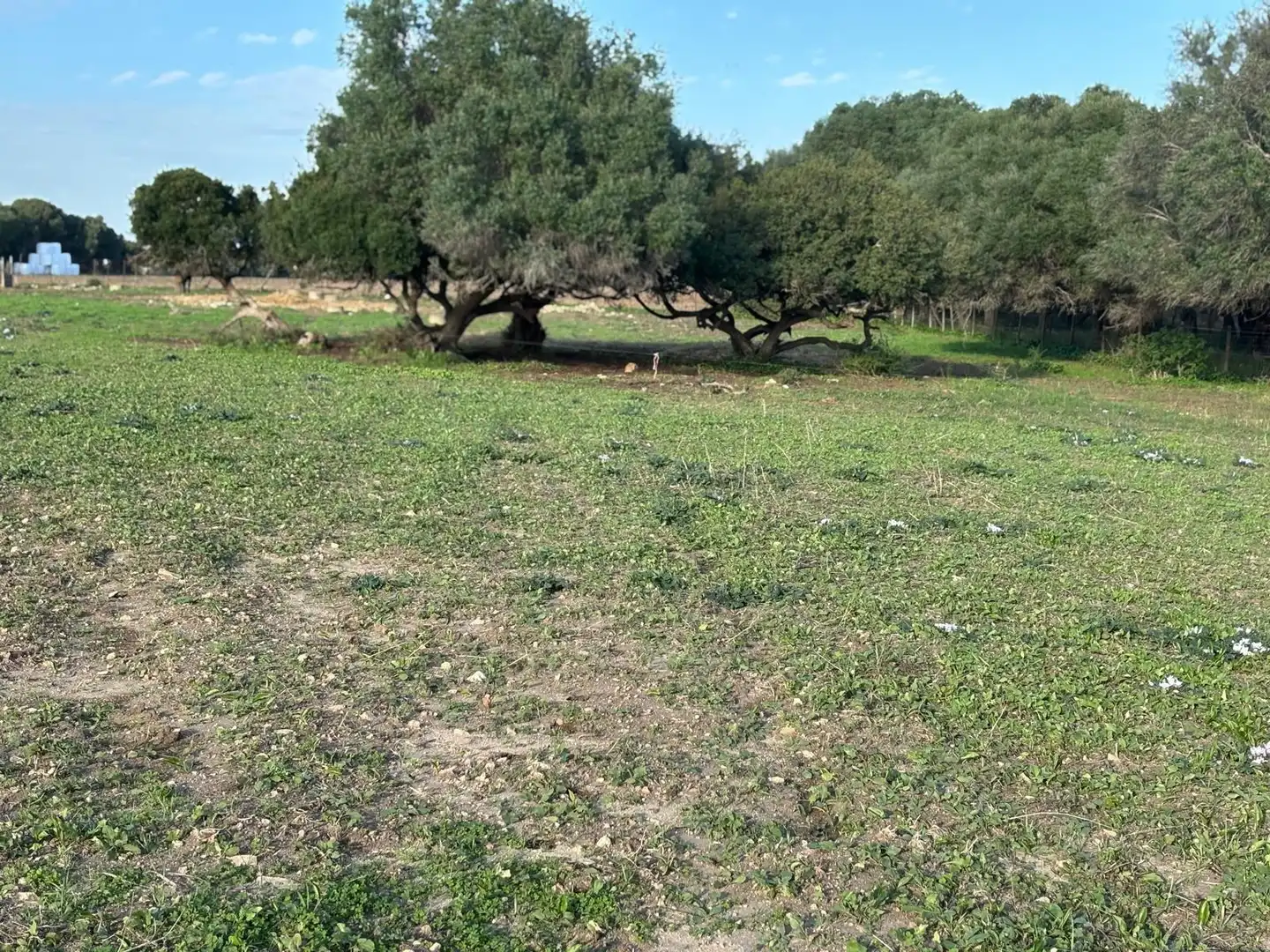 Terreni e lotti in vendita a Vejer, imagen 23