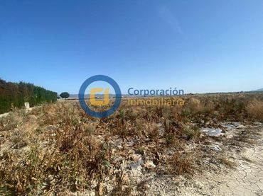 Terrain résidentiel à vendre à Pedanías Centro