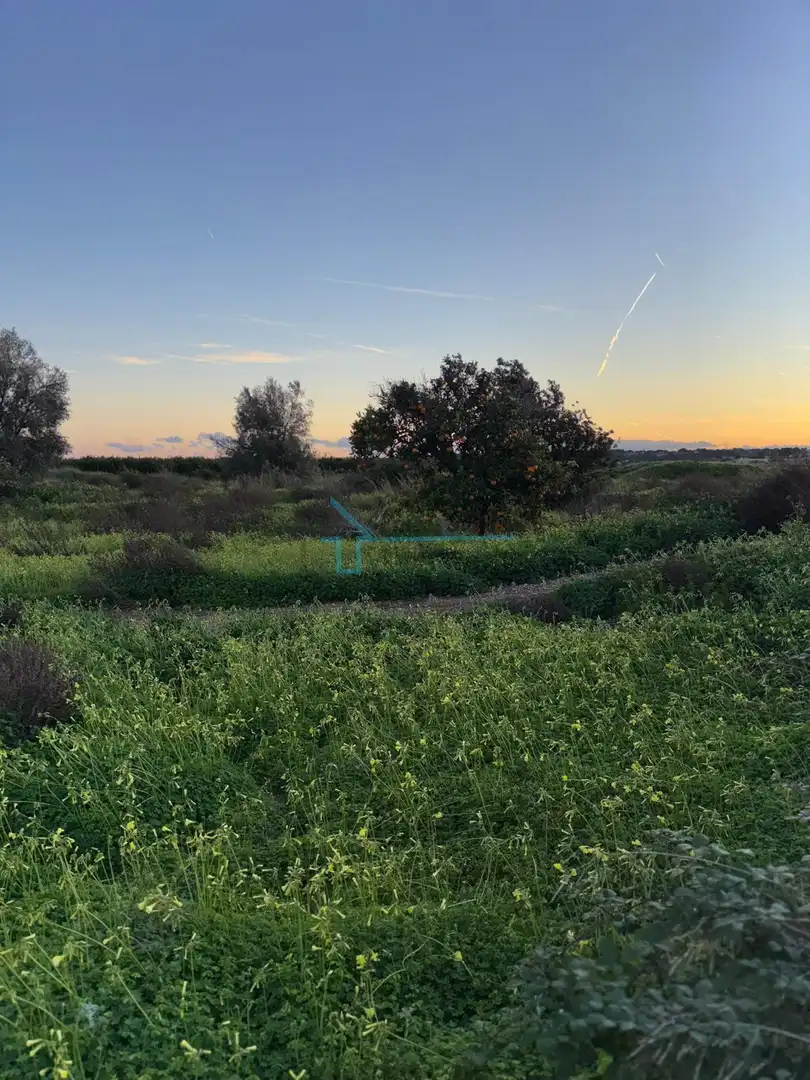 Terreni e lotti in vendita a Los Pinares - La Masia, imagen 7