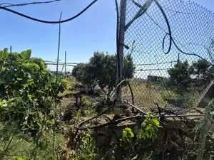 Terreno rustico in vendita a Calle las Cuevas, imagen 34
