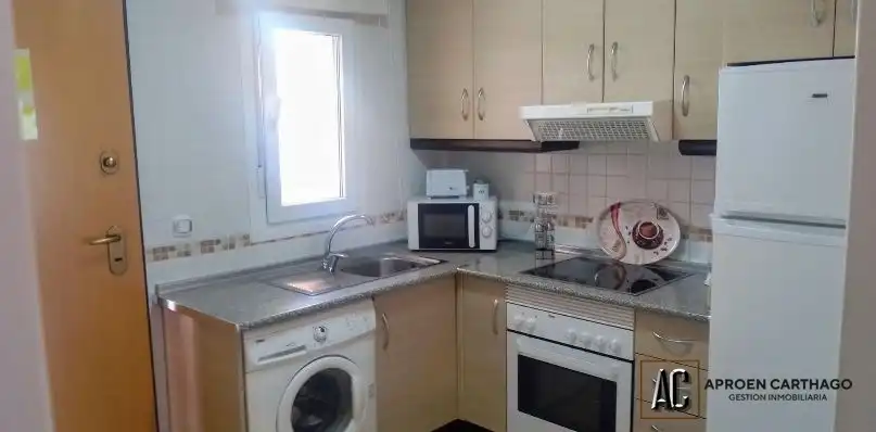 Àtic amb terrassa en venda a Los Collados-Los Geraneos, imagen 7