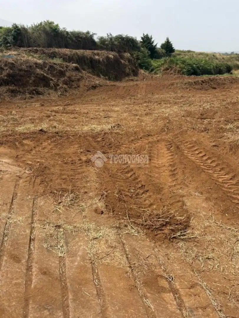 Terreny rústic en venda a Los Realejos pueblo, imagen 6
