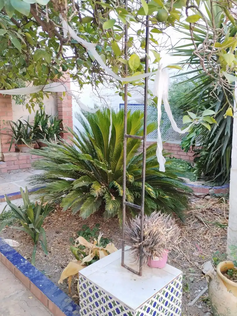 Jardí de Casa o xalet en venda en Porcuna amb Calefacció, Jardí privat i Terrassa