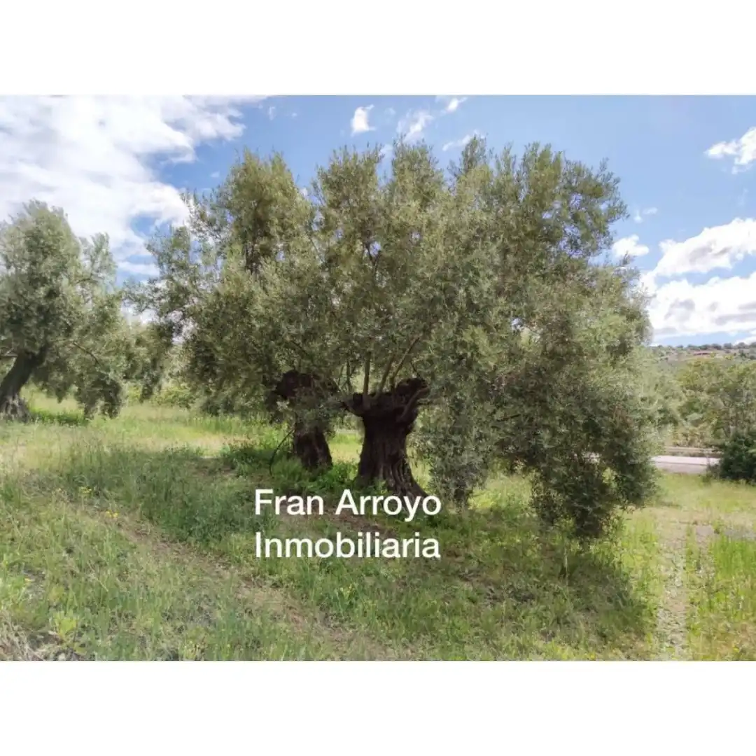 Terrenos y solares en venta en Úbeda