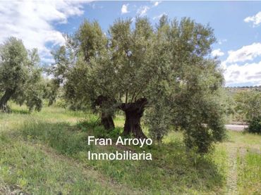 Terreno rustico in vendita a Úbeda