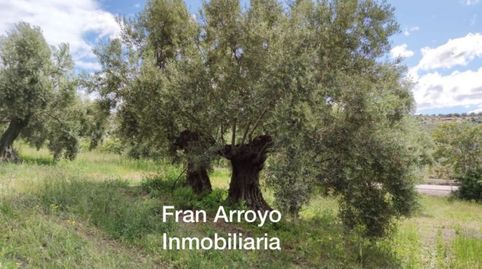 Terreno en venta en Carretera Úbeda-Madrid, Úbeda