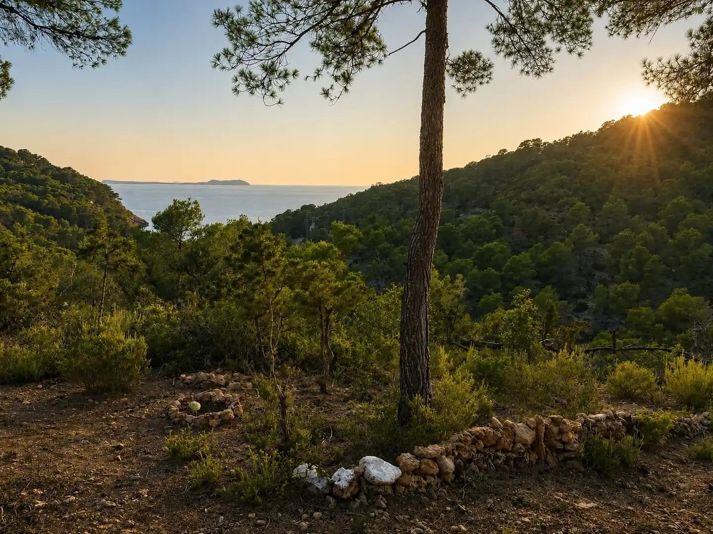 Land for sale in Sant Antoni de Portmany