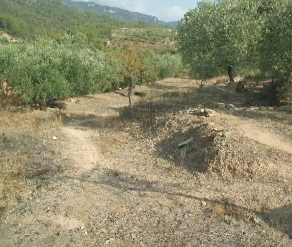 Rural land for sale in Tivissa, imagen 2