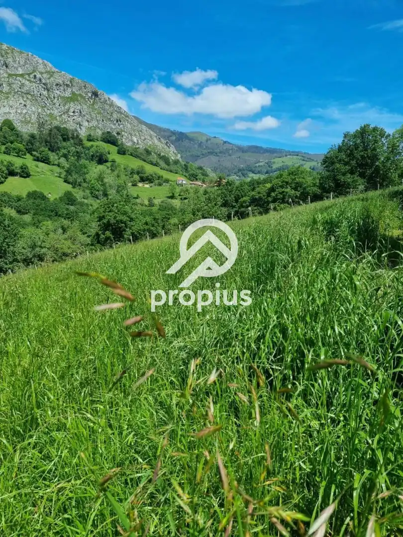 Rural land for sale in ARRIONDAS, imagen 19
