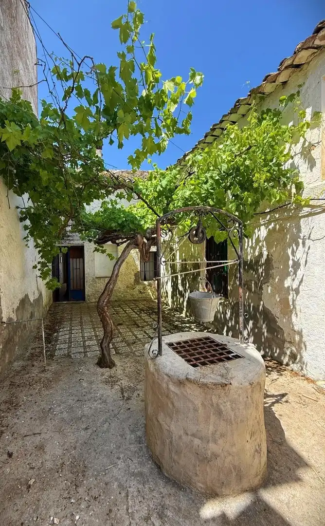Detached homes for sale in Alfarnate  with Private garden and Terrace