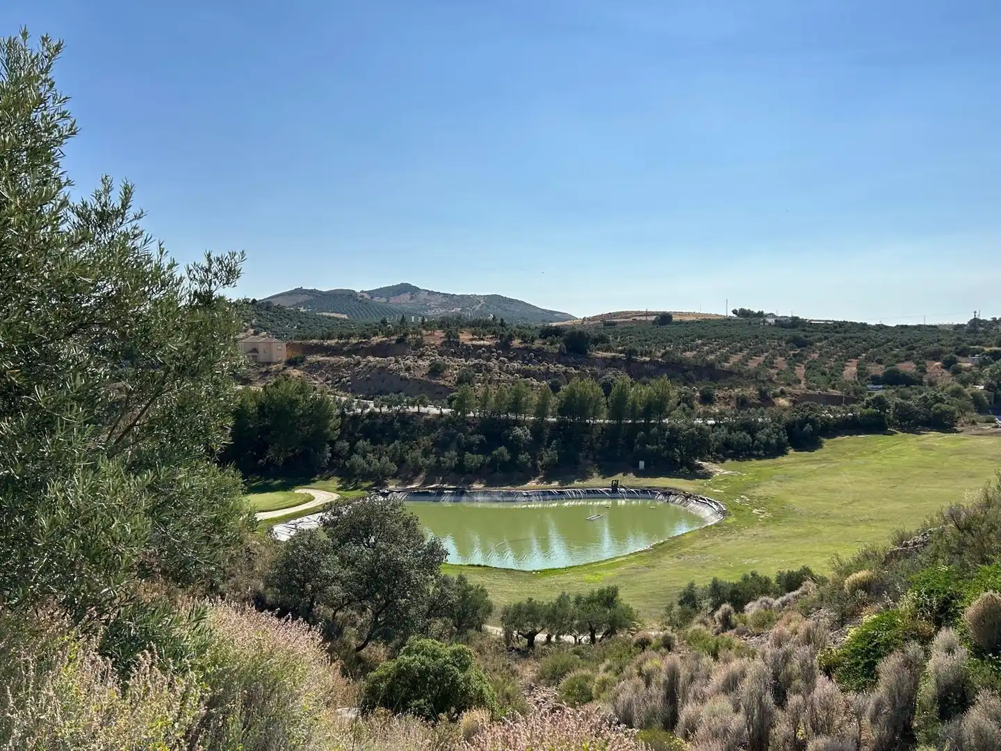 Lands and plots for sale in Centro, imagen 3