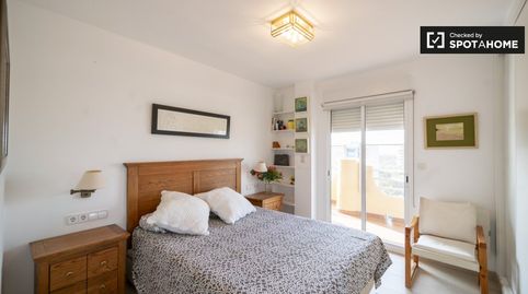 Foto 4 de Habitació a El Saler, Valencia Capital