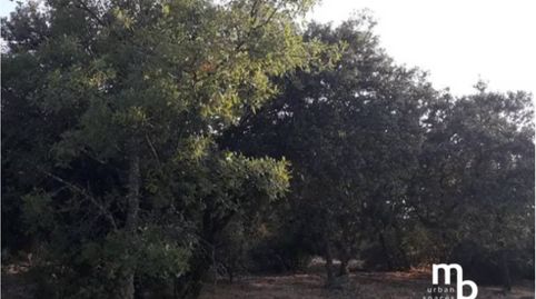 Terreno en El Casar Guadalajara, immagine 4