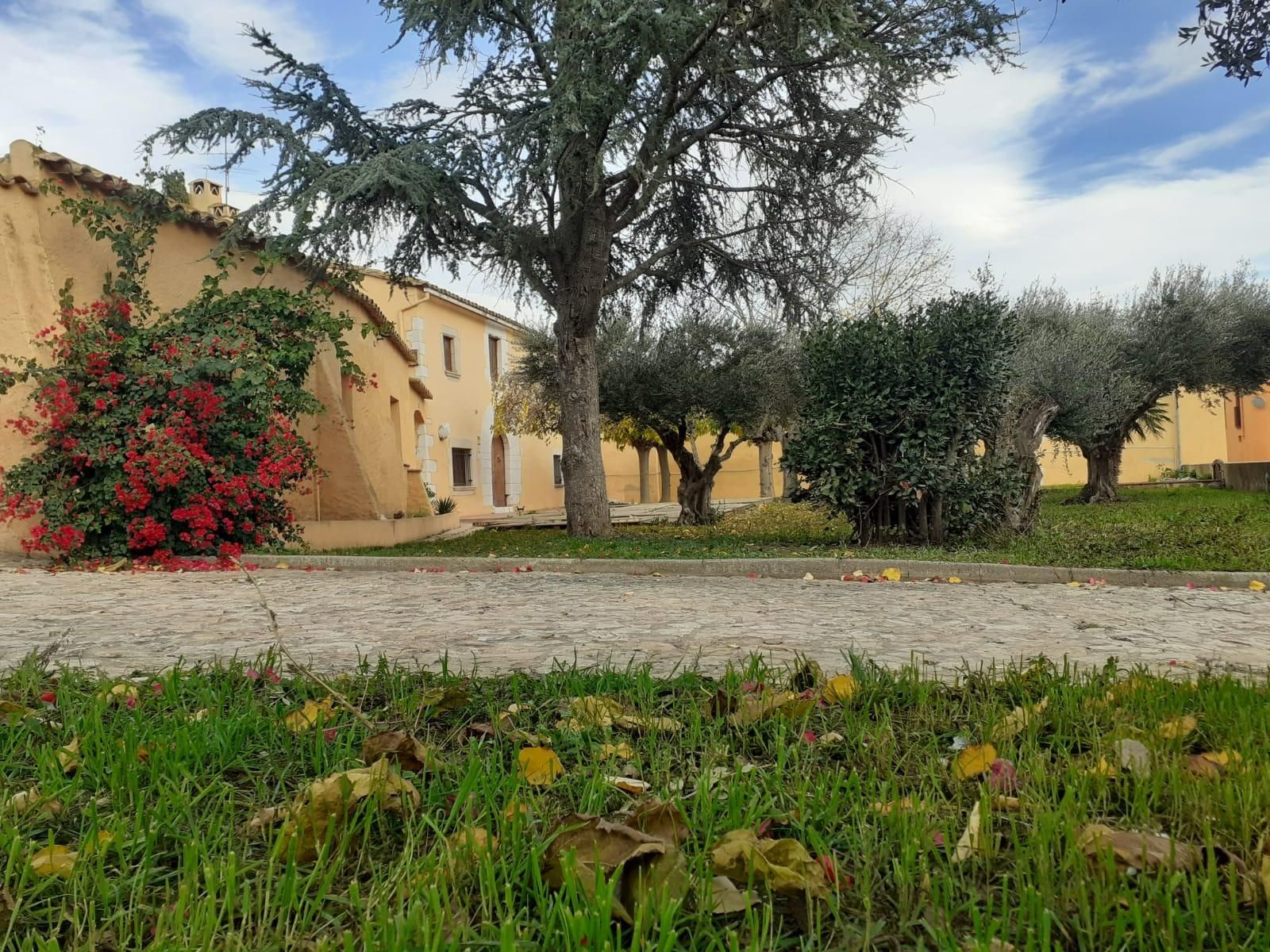 Garden of Premises to rent in Vilamalla  with Furnished