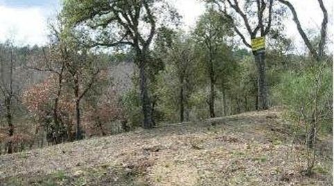 BESCANÓ (Gerona). c/ Garrigues., immagine 2