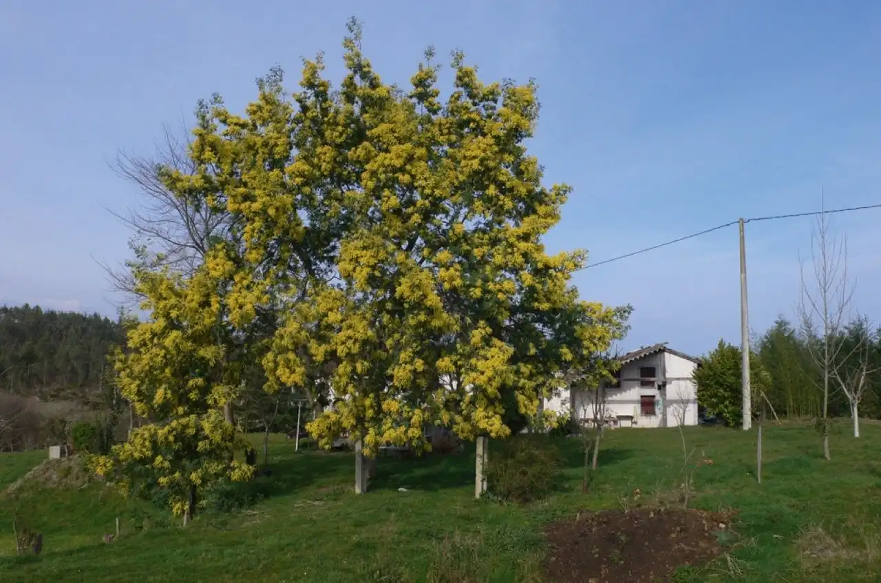 Jardí de Casa o xalet en venda en San Vicente de la Barquera