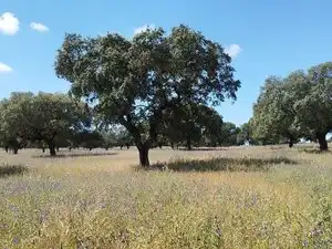Terreni e lotti in vendita a Norte, imagen 42