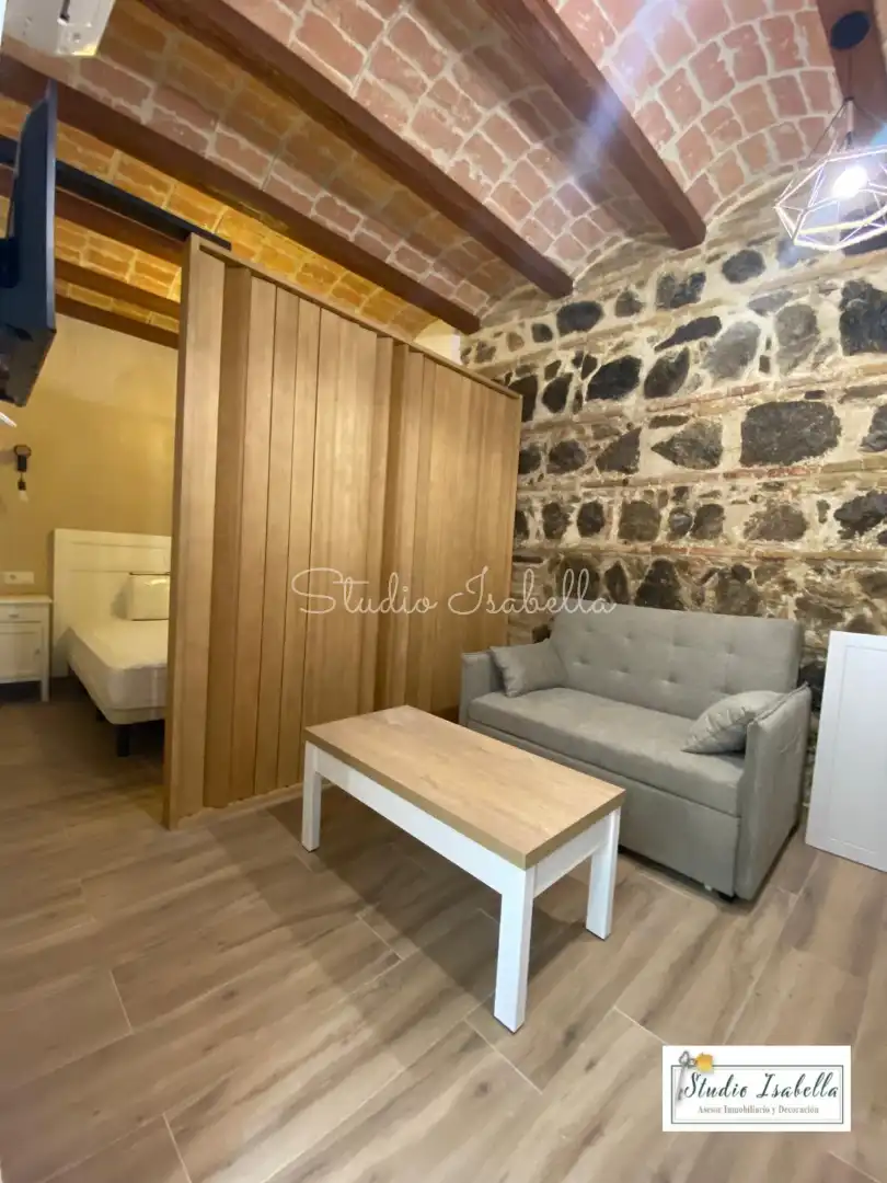 Living room of Lofts for rent in Toledo  with Air Conditioner, Heating and Furnished