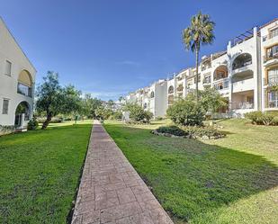 Exterior view of Planta baja for sale in Estepona  with Terrace and Community pool