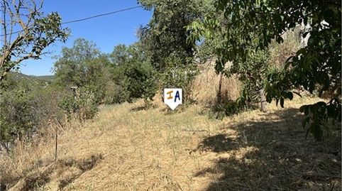 Foto 5 de Finca rústica en venta en Alcalá la Real, Jaén
