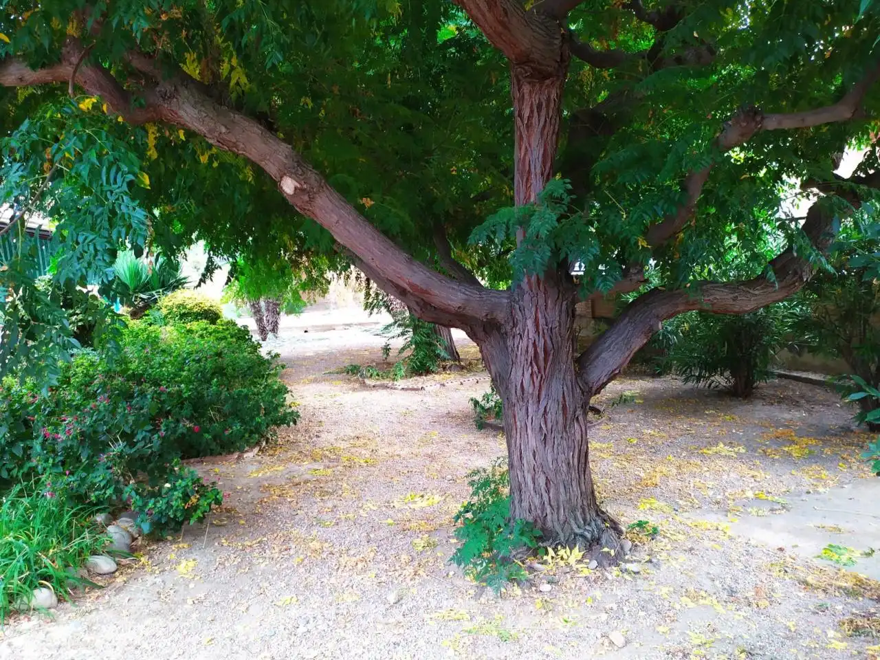Villa avec jardin à vendre à Calle MELCHOR GUARDIA, imagen 10