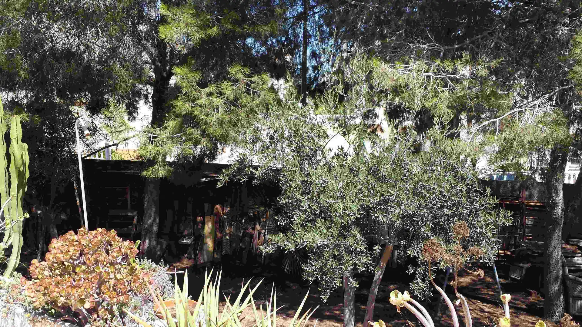 Villa mit Terrasse zum Verkauf in Calle Trevinca 4, imagen 37