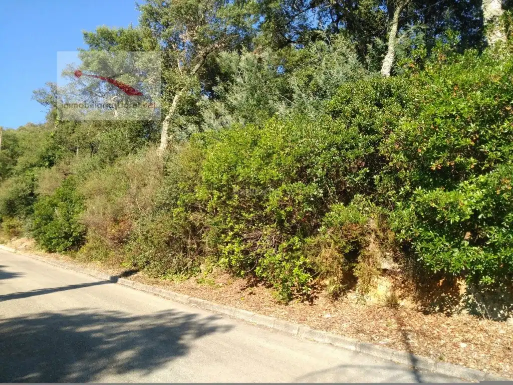 Terreny residencial en venda a Carrer la Serra Longa 59, imagen 2