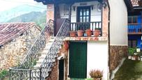 Exterior view of House or chalet for sale in Peñamellera Alta  with Parquet flooring
