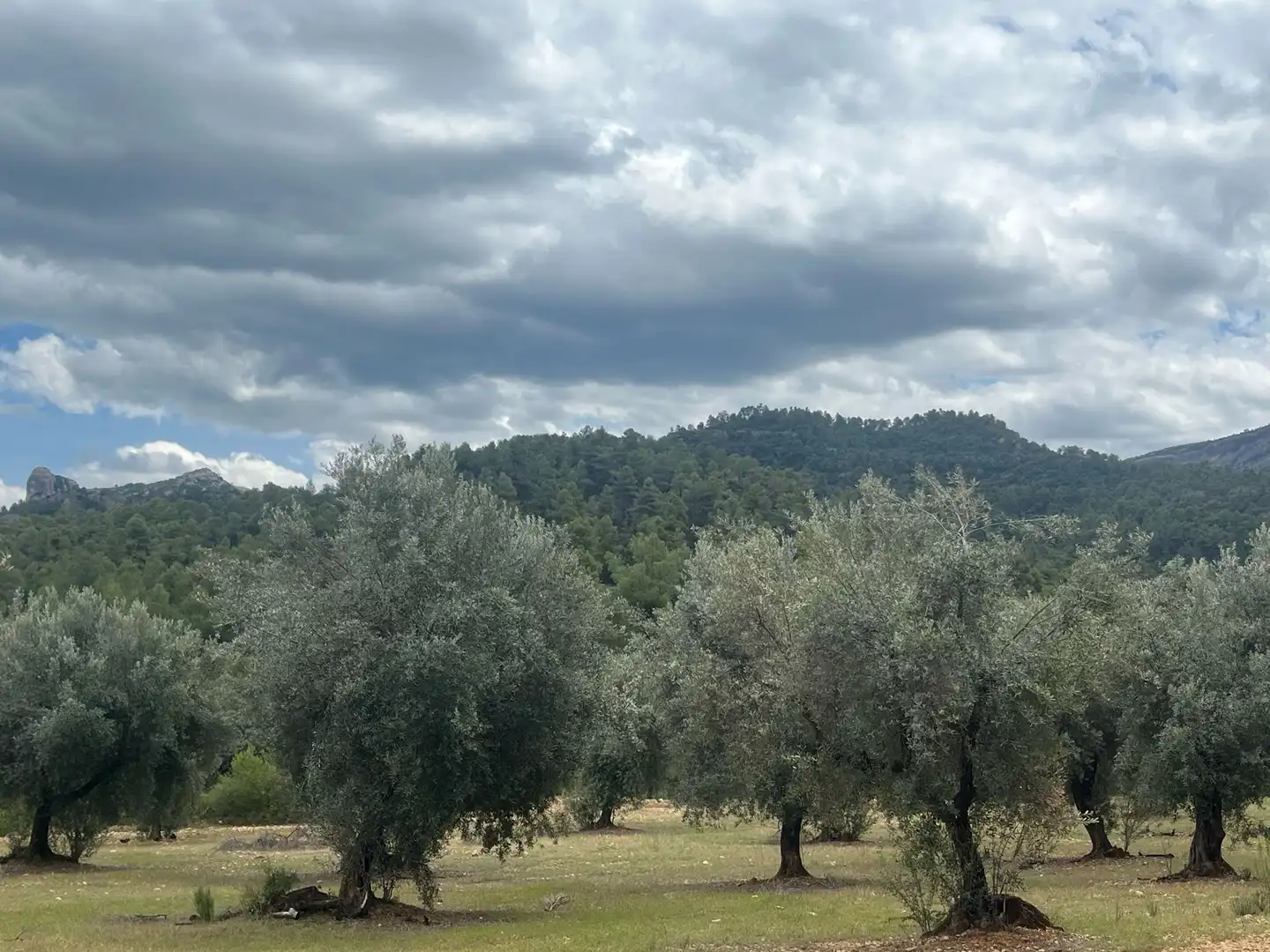 Terreni e lotti in vendita a Cretas, imagen 7