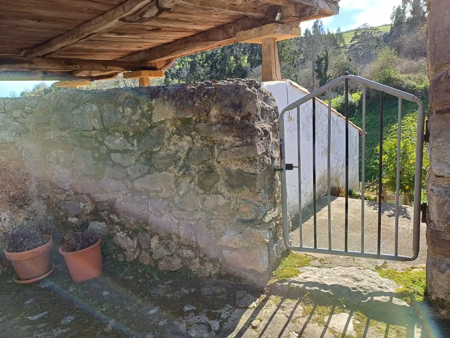Jardí de Casa o xalet en venda en Illas amb Terrassa, Traster i Piscina