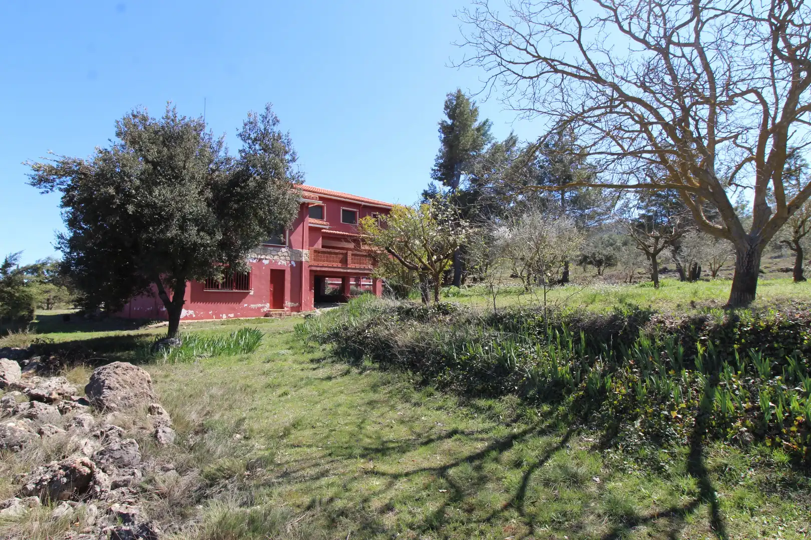 Jardín de Casa o chalet en venta en Sinarcas con Terraza