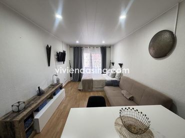Estudio con piscina en alquiler en Calle Hermanos Fernández Perdigón 6