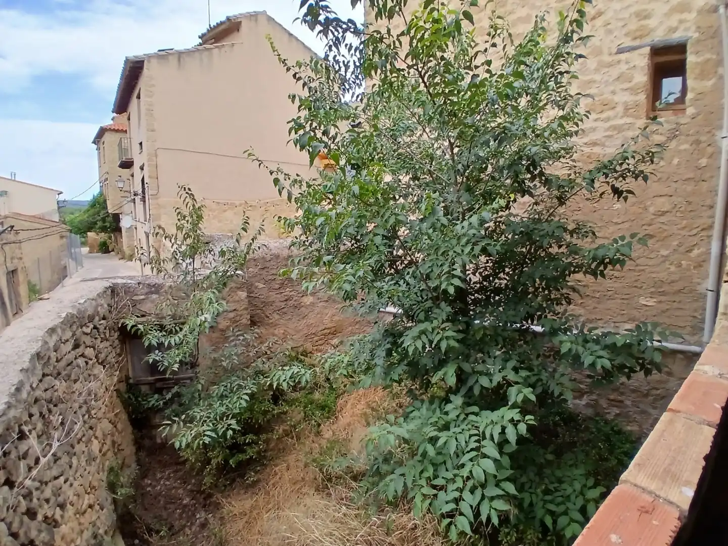 Maison à vendre à Torre del Compte, imagen 18