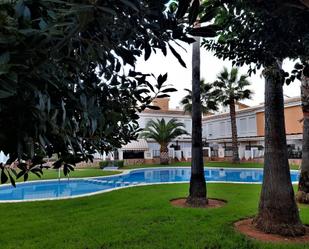 Swimming pool of Single-family semi-detached to rent in Alcalà de Xivert