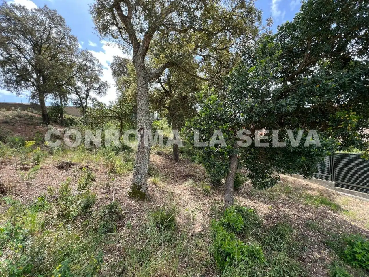 Rustikales Grundstück zum Verkauf in Lloret Residencial - Montlloret, imagen 5