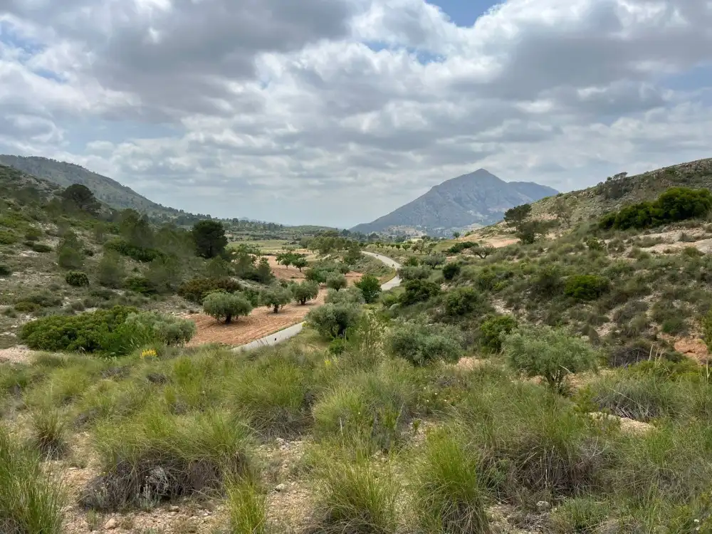 Terreny residencial en venda a Hondón de las Nieves / El Fondó de les Neus, imagen 3