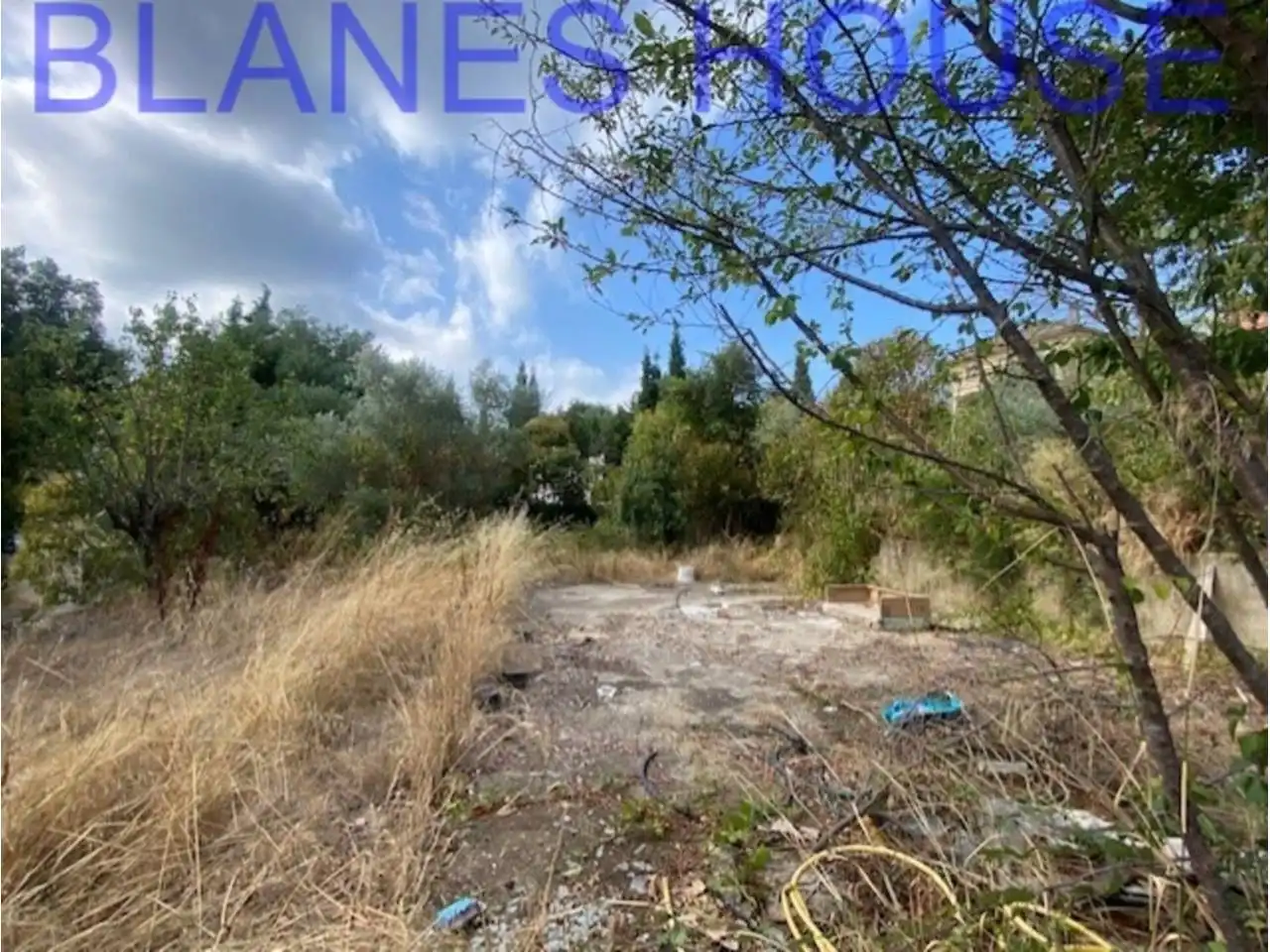 Houses for sale in Calle Tortora, Riudarenes