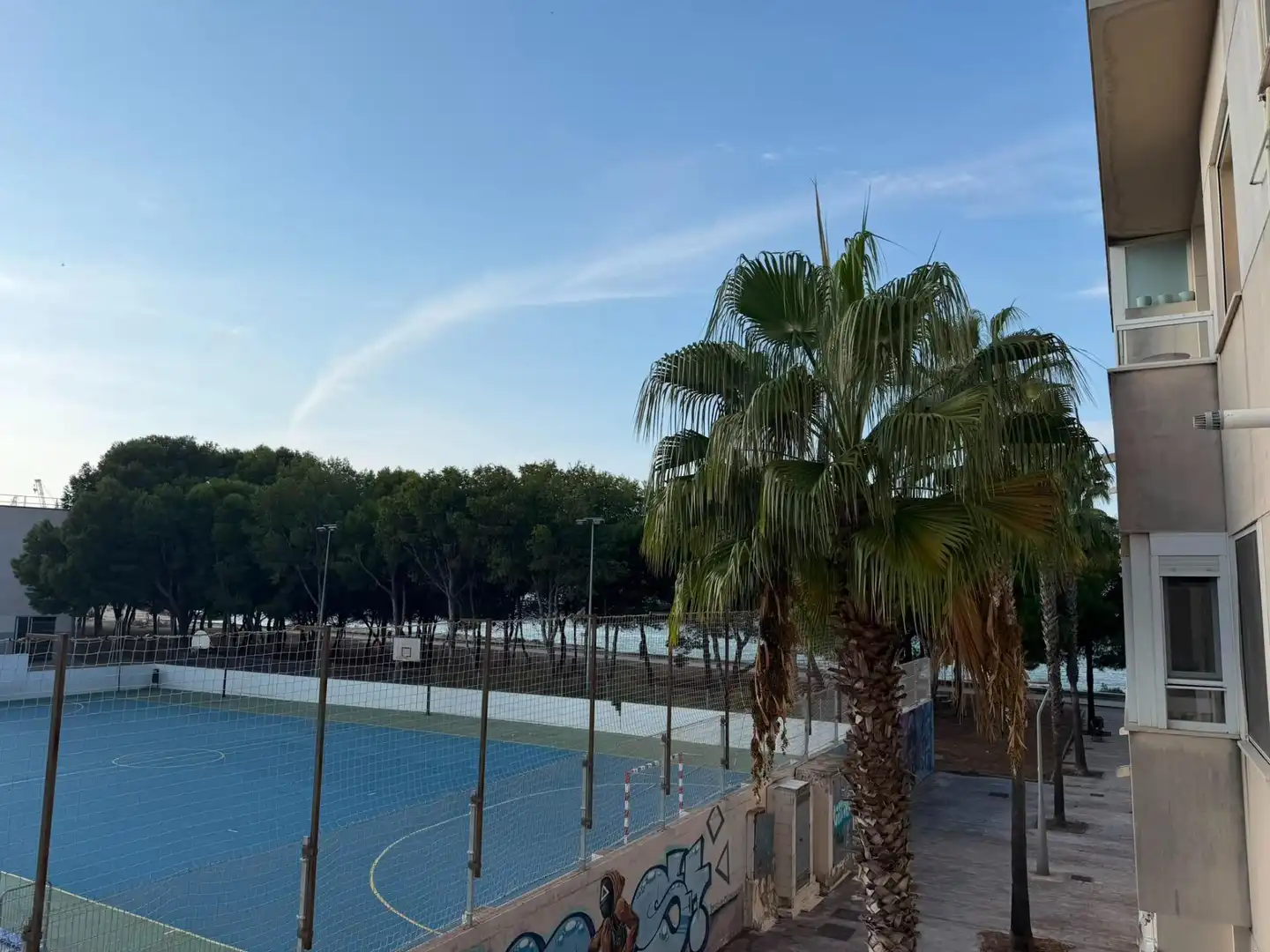 Apartment with terrace for sale in Barriada Río San Pedro, imagen 20