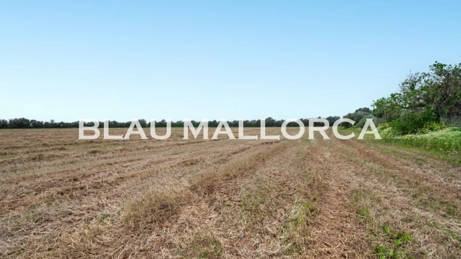 Terreno en venta en Campos