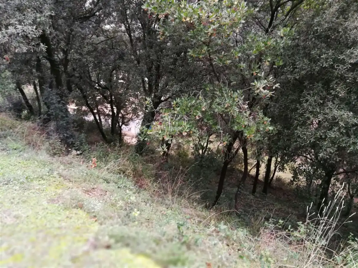 Residential land for sale in Bigues i Riells del Fai