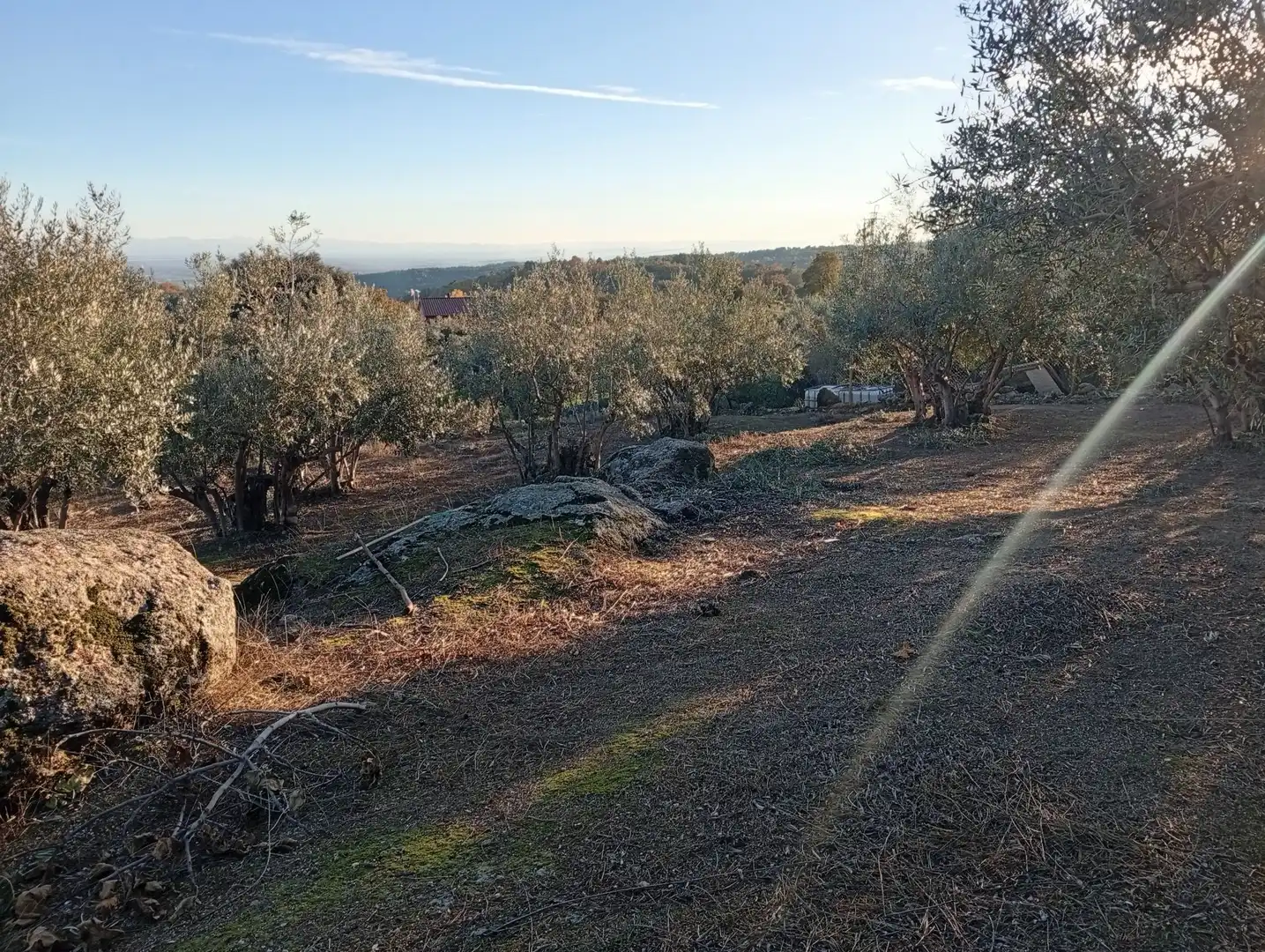 Terreni e lotti in vendita a Villanueva de la Vera, imagen 66