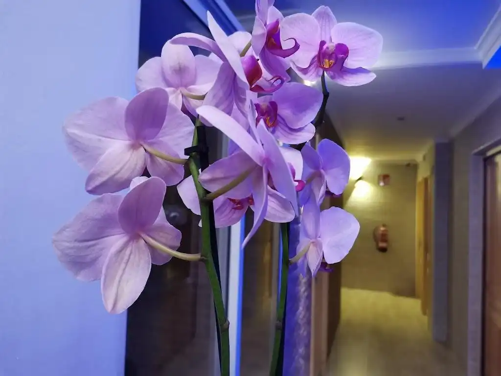Hotel en venda a Gargasindi - Garduix - Colina del Sol, imagen 18